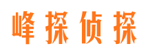 达州市私家侦探